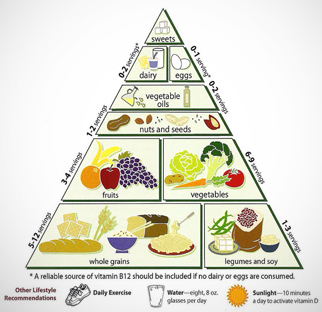 Dietary Modification
